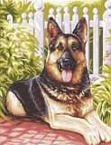 Купить недорого   Канва-страмин Royal Paris с рисунком "Belle" 47,5*37см, MEZ Венгрия, 9880142-00446  в интернет магазине Фэмили хоби